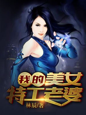 小说：我的美女特工老婆，作者：林辰