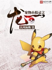 小说：超级精灵之龙一，作者：扶风杨柳