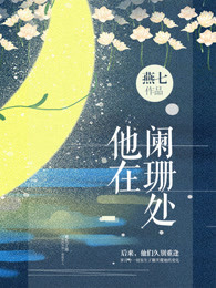 小说：他在阑珊处，作者：燕七
