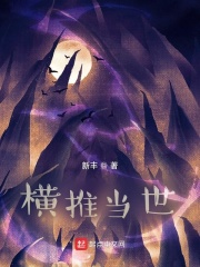 小说：横推当世，作者：新丰