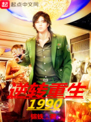 小说：逆转重生1990，作者：镔铁