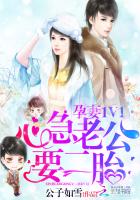 小说：孕妻1V1：心急老公，要二胎，作者：公子如雪