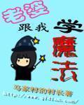 小说：老婆跟我学魔法，作者：马家村的村长