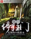 小说：虚空停驻门，作者：反叛的小忧虑