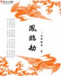 小说：凤临劫，作者：天镜轻染
