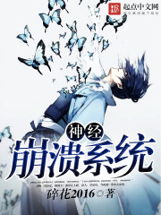 小说：神经崩溃系统，作者：碎花2016