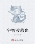 小说：宇智波荣光，作者：公子刘琦