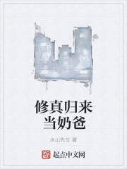 小说：修真归来当奶爸，作者：水山先生
