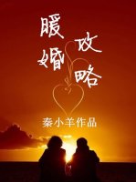 小说：暖婚攻略，作者：秦小羊