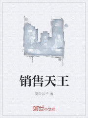 小说：销售天王，作者：魔杰公子