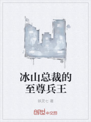 小说：冰山总裁的至尊兵王，作者：妖灵七