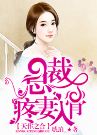 小说：天作之合，总裁疼妻入骨，作者：琥珀_