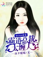 小说：Boss追宠：霸道总裁太缠人，作者：沐夕暖暖