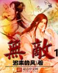 小说：梦梦无敌，作者：迟来的风