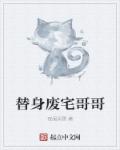 小说：替身废宅哥哥，作者：夜阑风雪