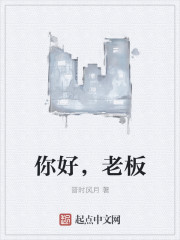 小说：你好，老板，作者：晋时风月